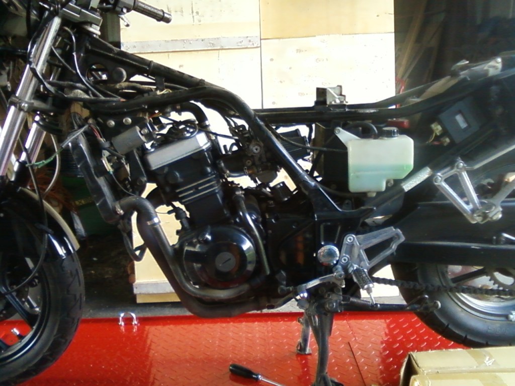 a live nude ninja 250