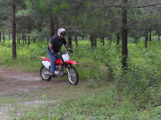 <standing on the pegs for picture>