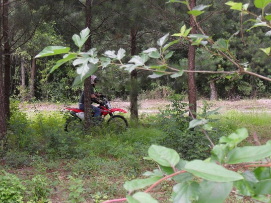 through the woods on a CRF150