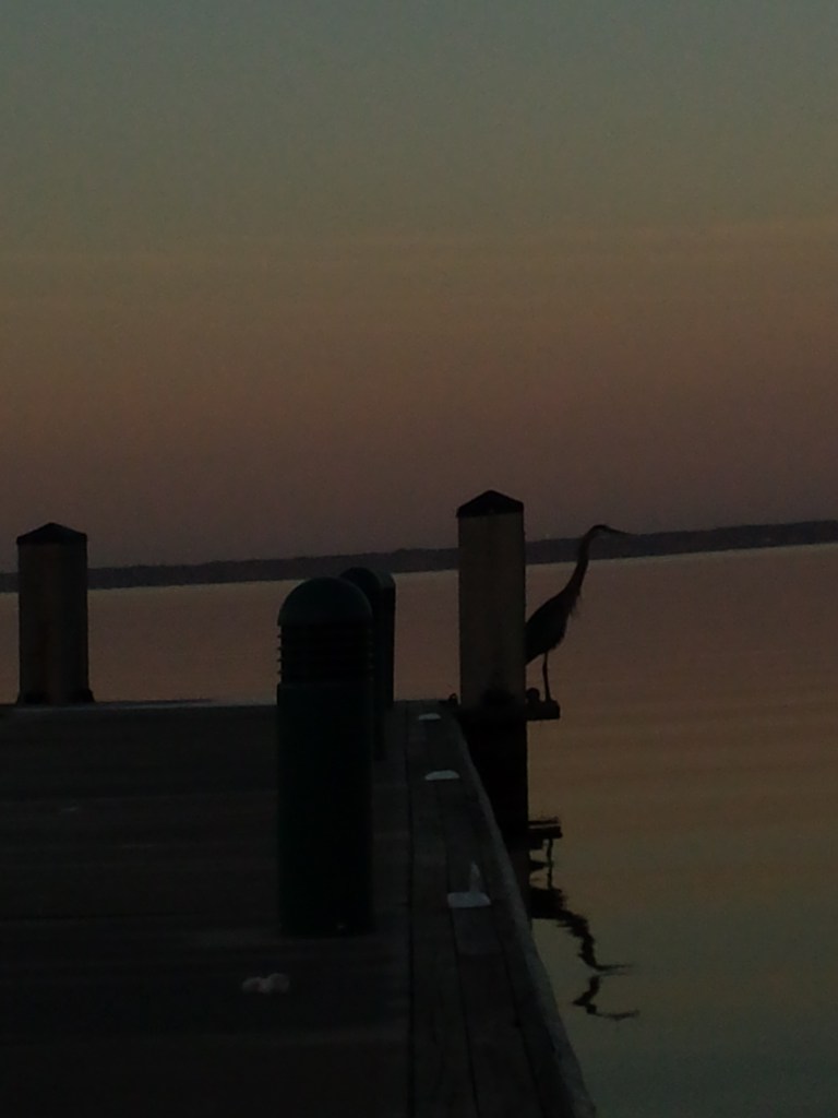 <early Sunday at Lake Eustis>