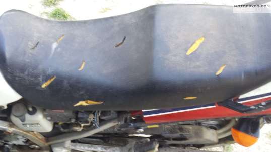 Honda vf700 Brotherly hate machine seat
