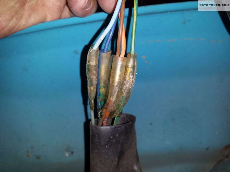 1982 Honda Passport Restoration