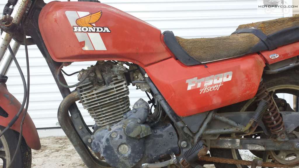 1982 Honda Ascot FT500 