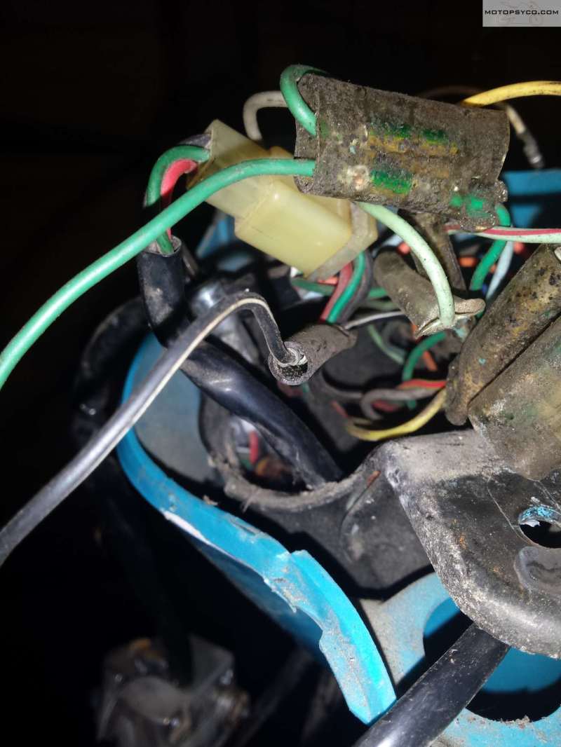 1982 Honda Passport Restoration