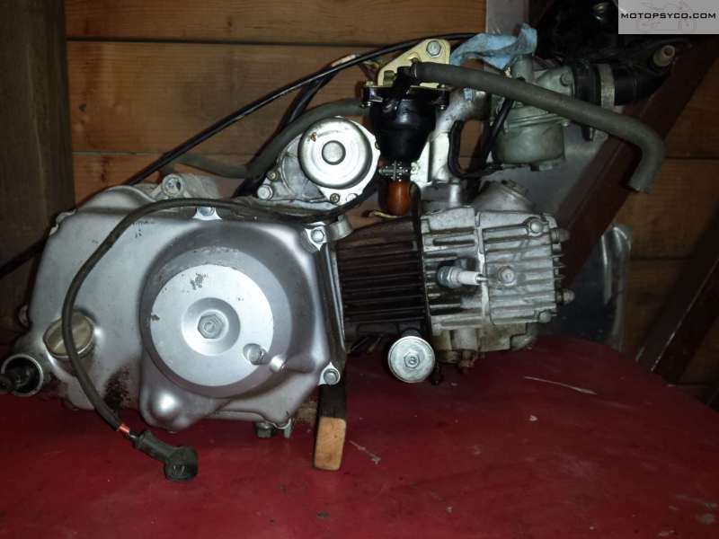 1982 Honda Passport Restoration